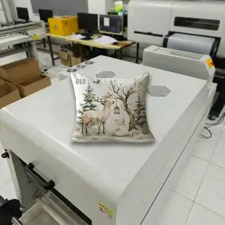 DTF Throw Pillow Customization - Direct to Film Printing on Cushions and Home Decor